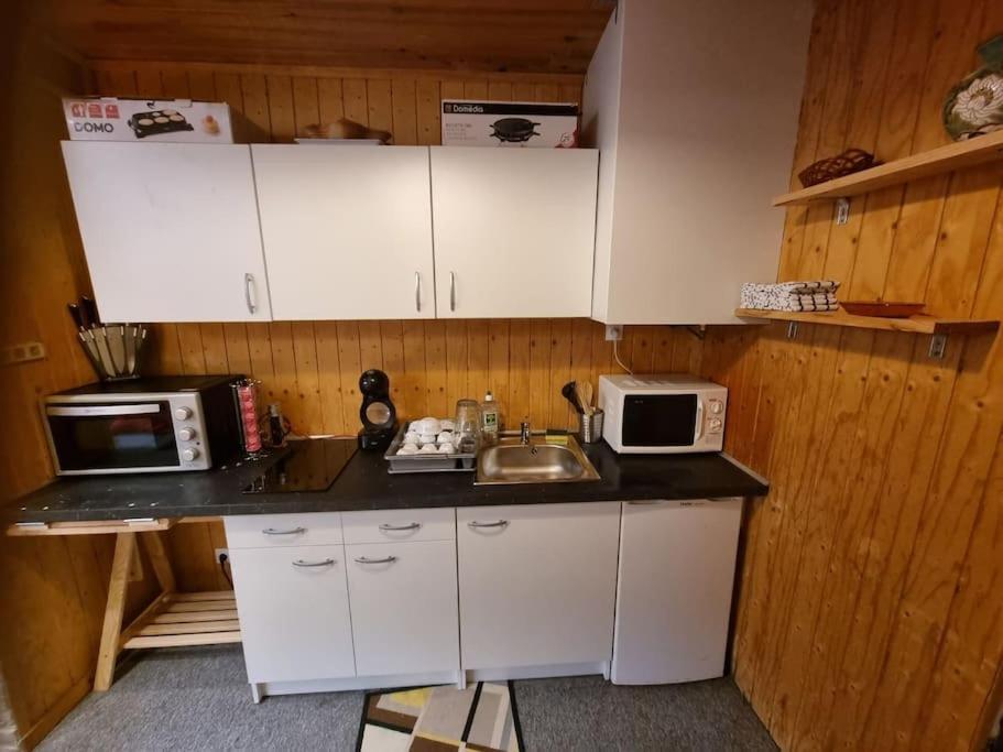 Studio 4 Couchages Dans Un Chalet Tout Confort Chamrousse Zewnętrze zdjęcie